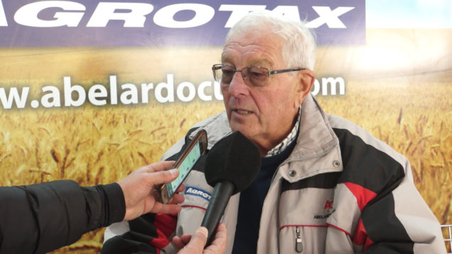 abelardo cuffia